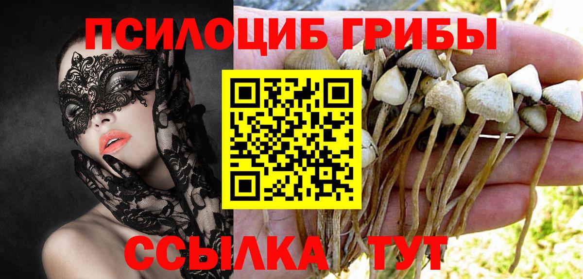 Псилоцибиновые грибы ЛСД  Вход с VPN  Клинцы 