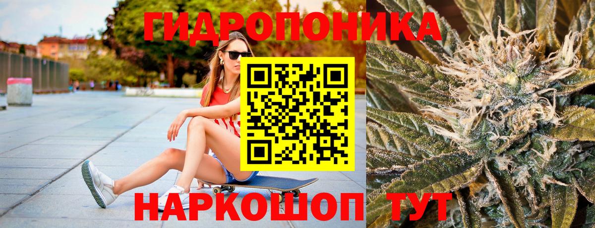 Бошки Шишки THC 21% Клинцы
